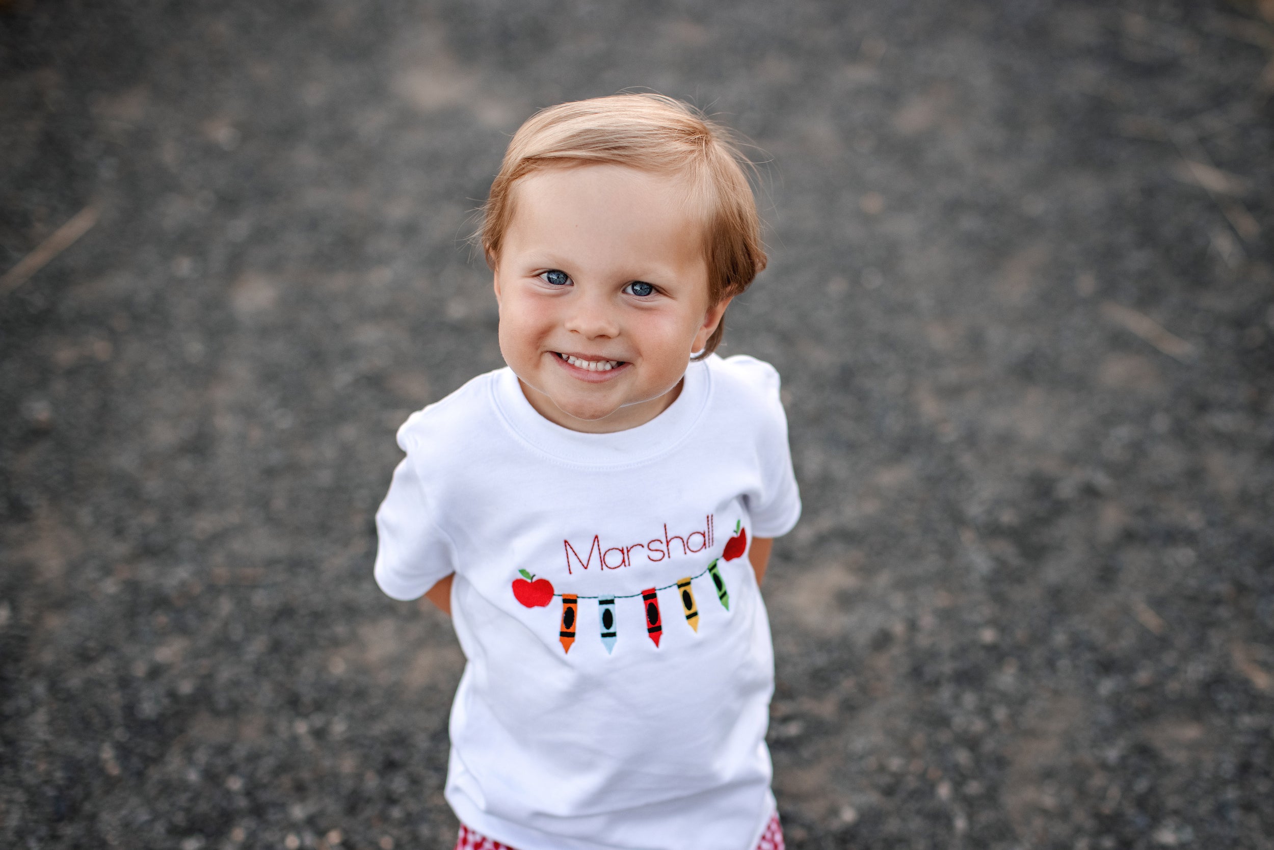 Crayons with Apples Shirt